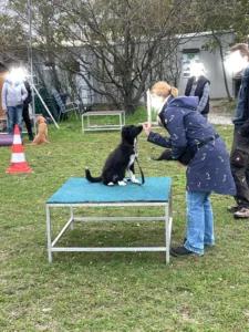 Olwynn geht zur Schule!
27.11.2024