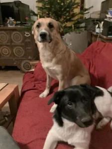 Molly und Ondra