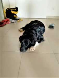 So ein Umzug ist anstrengend!
