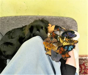 Natürlich kuschelt man auch gern mit Frauchen!
15.01.2025