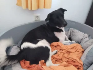 Geburtstagsfotos von Otto!