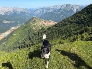 Bei diesem Panorama kann man eigentlich nur neidisch werden, oder?