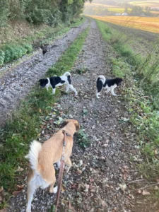 Spaziergang mit Mutter Molly