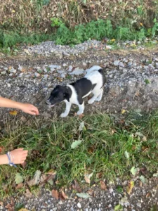 22.09.2024: Beim Spaziergang