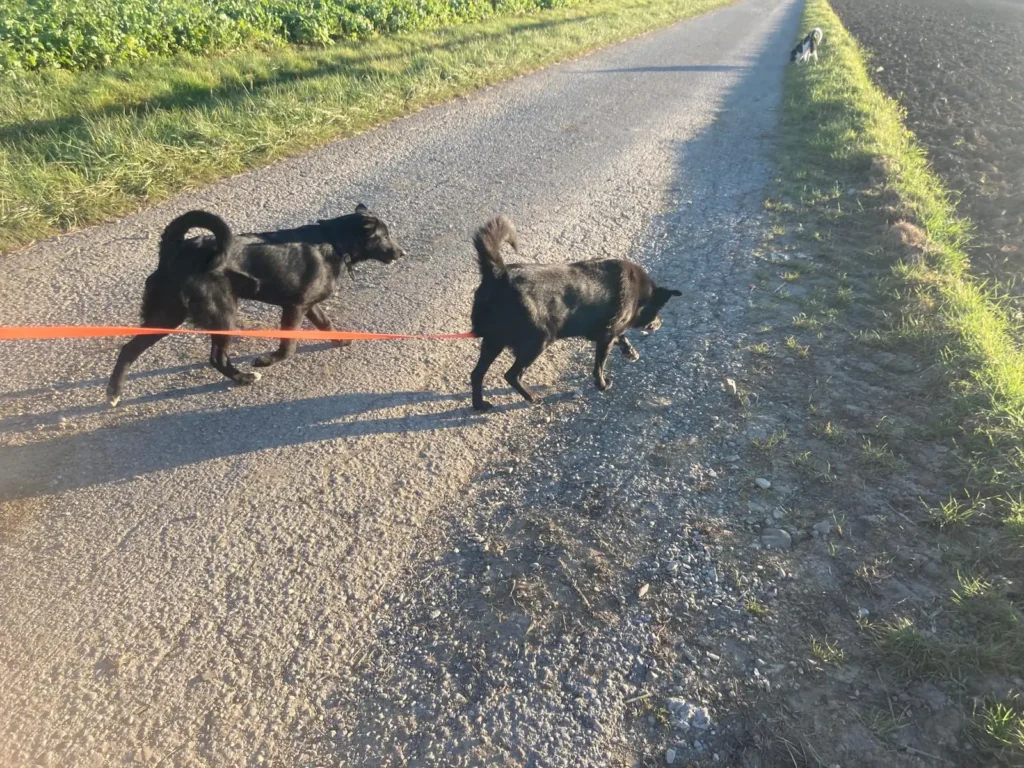 7.11.2024 Olaf mit seinem Besuch Arthur Joklas Michl (14 Jahre)