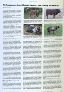 Einkreuzung in gefährdete Rassen - eine Lösung bei Inzucht?
ARCHE NOVA 1 / 25, S. 07